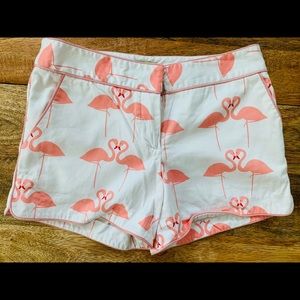 Flamingo pattern shorts